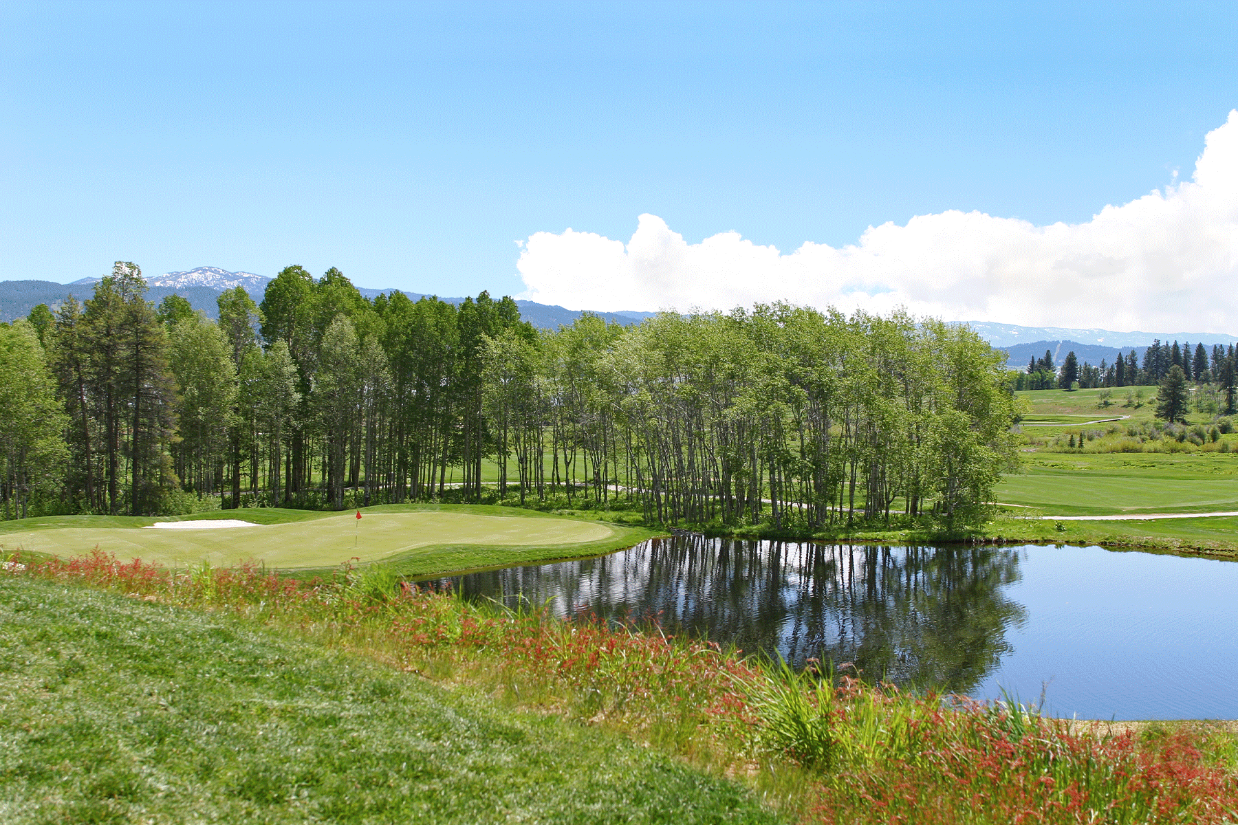 Golf Returns To Tamarack Resort