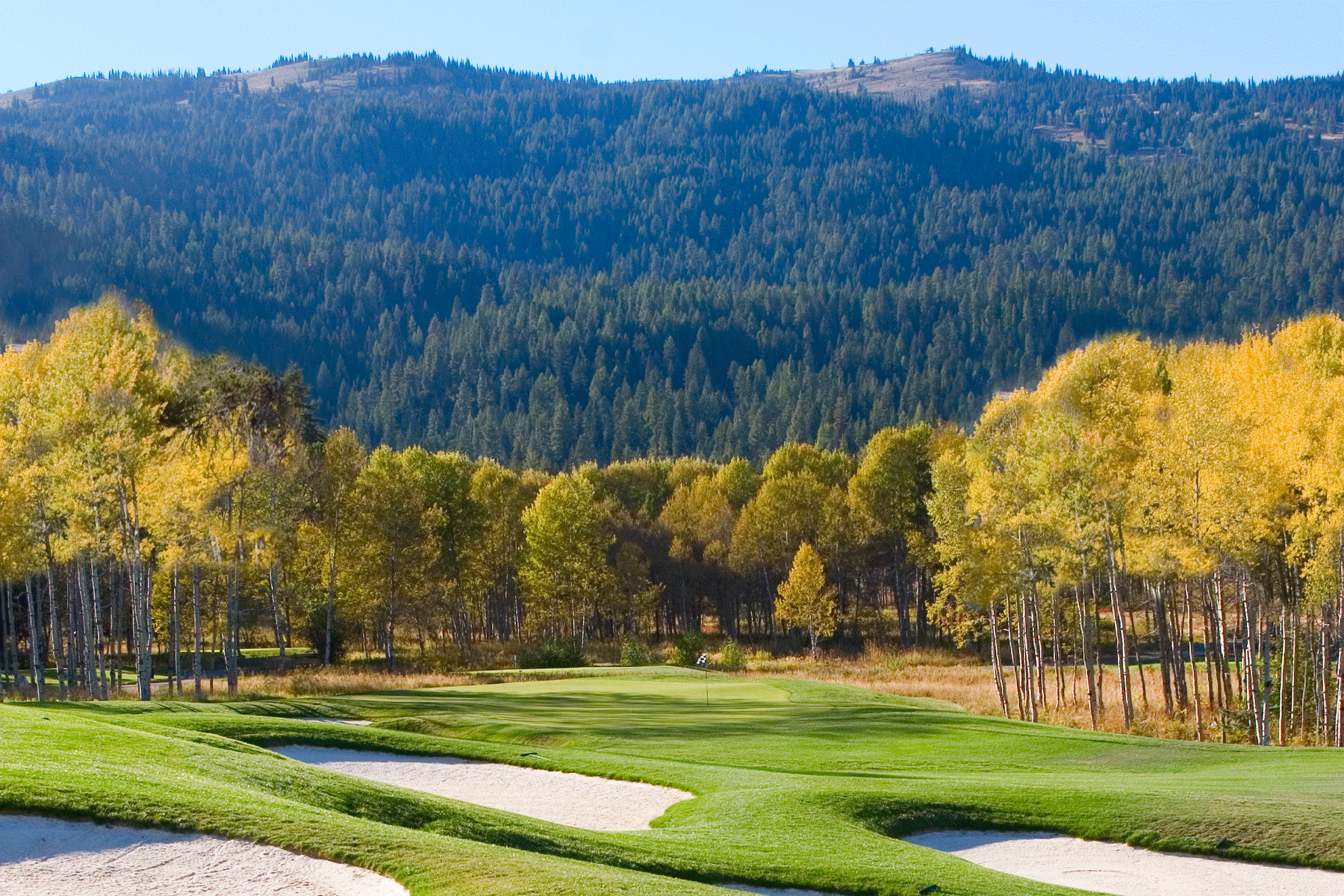 Golf at Osprey Meadows