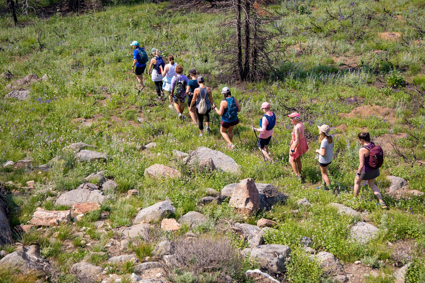 S.H.2021.7.10_GuideHike-281.jpg