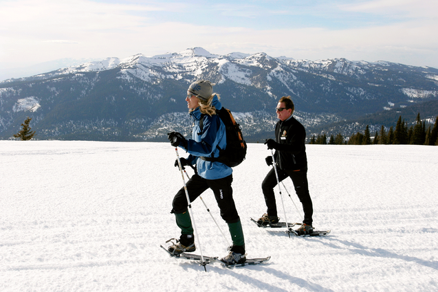 Snowshoeing-Activity.png