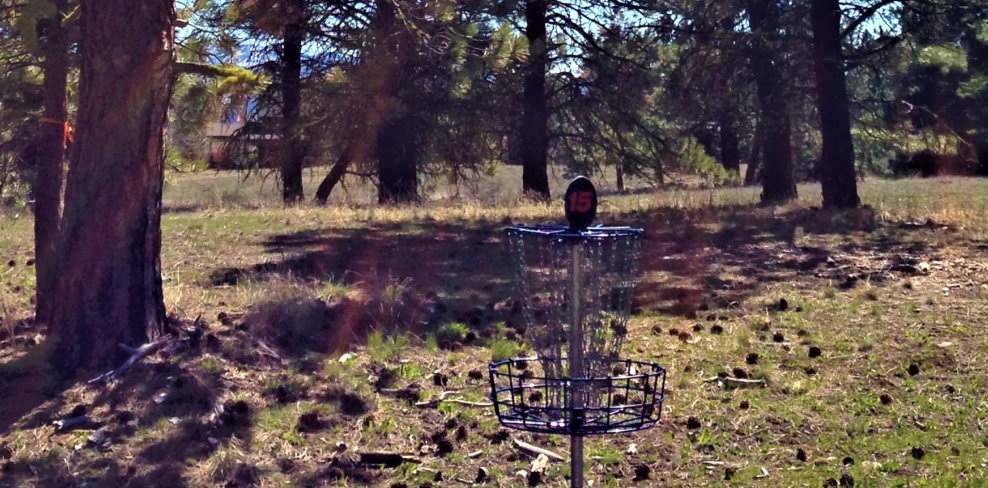 Disc Golf Basket