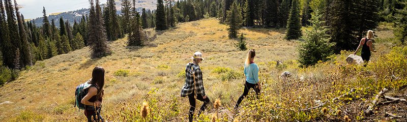 Hikers on trails in Idaho