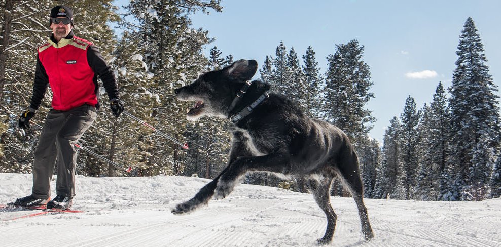 Nordic Ski Trails