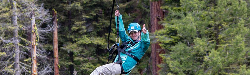 Treetop Zipline Tours