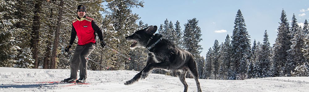 Idaho Winter Activity - X-C Skiing