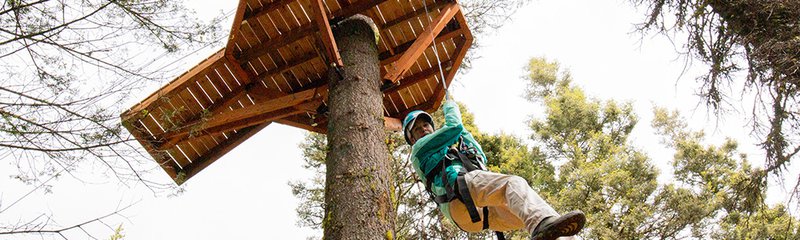 Zipline Platform and Harness